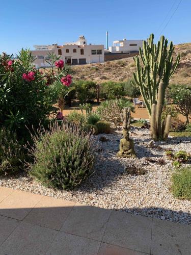 Κήπος έξω από το CASABAH bed & breakfast
