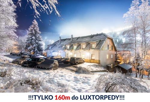 a house with cars parked in the snow at Kosówka Czarna Góra in Stronie Śląskie