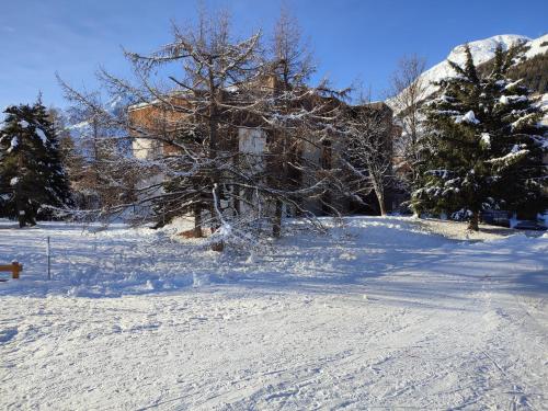 un patio cubierto de nieve con una casa y árboles en Super appartement T2 au pieds des pistes., en Les Deux Alpes