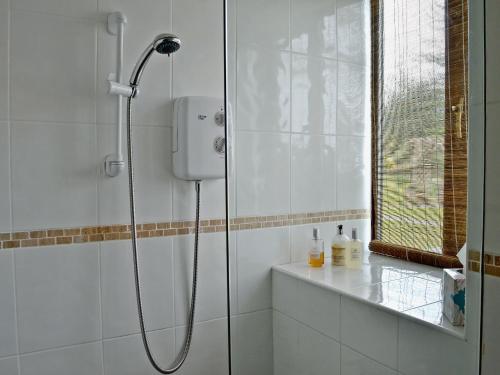 baño con ducha y puerta de cristal en Honeysuckle Cottage en Nerquis