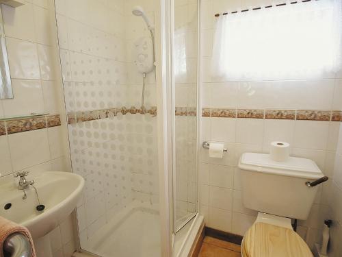 a bathroom with a shower and a toilet and a sink at Pinewood - E3077 in Thorpe Market
