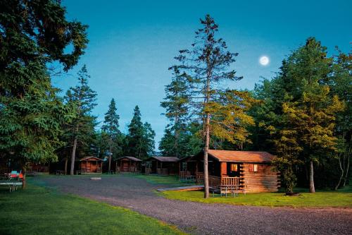 Narrows Too Camping Resort Cottage 11 في ترينتون: كابينة في الغابة مع القمر في السماء