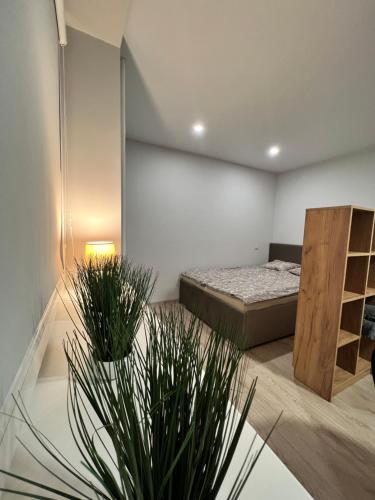 um quarto com uma cama e dois vasos de plantas em Saulėti apartamentai Trakuose/Sunny apartment in Trakai em Trakai