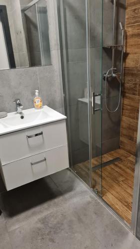 a bathroom with a sink and a shower at RMF Naworol 2 in Szczecin