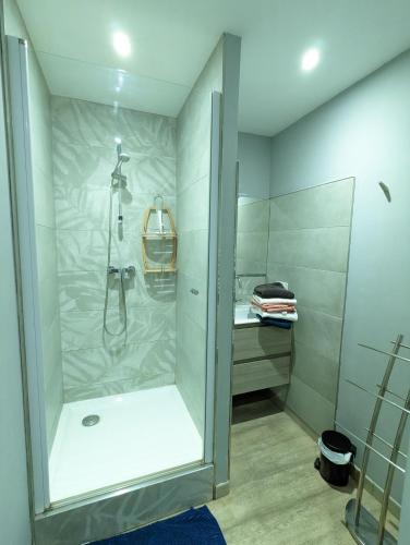 une douche avec une porte vitrée dans une salle de bain dans l'établissement Beau-Jean, Un Cocon Sympa 5 min à Pied du Centre-Ville, Parking Privé, à 10 min du CHU, à Poitiers