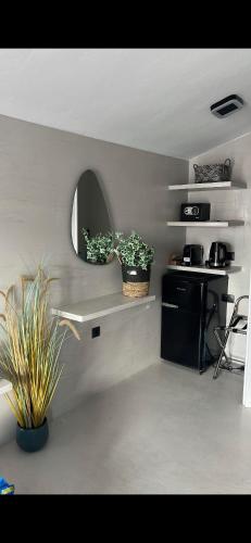a kitchen with two potted plants and a mirror at BYZANTIUM Suite with view in Ermoupoli