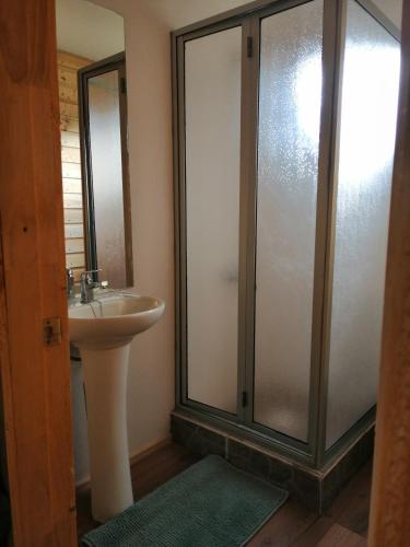 a bathroom with a sink and a glass shower at Cabaña La Troya in Cochamó