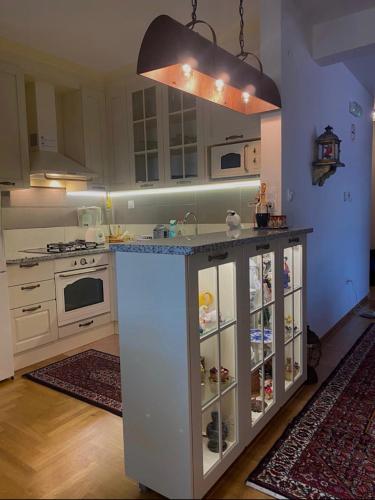 a kitchen with a counter with a refrigerator in it at APARTMENTS VRANAS Bjelašnica in Bjelašnica