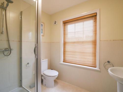 a bathroom with a toilet and a shower and a sink at Louisa Cottage in Weymouth