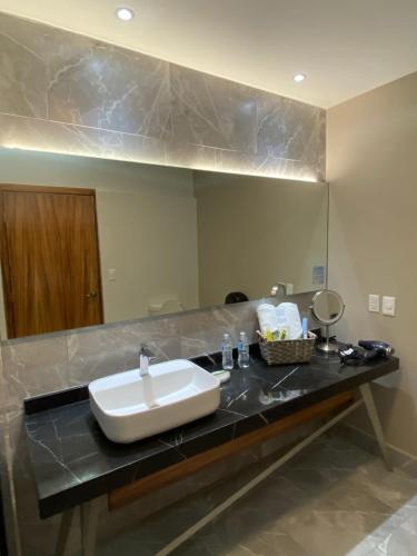 a bathroom with a sink and a large mirror at ZEGEN HOTELS LagosdeMoreno in Lagos de Moreno