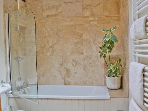 a bathroom with a bath tub and a potted plant at The Water Castle in Wall Houses