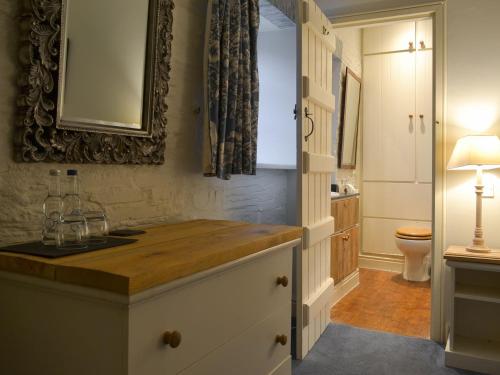 a bathroom with a counter with a sink and a toilet at The Shooting Lodge in Saint Mabyn