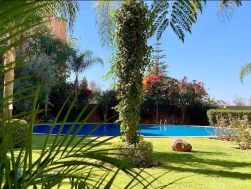 a palm tree in front of a swimming pool at Apartments Babylone 2 Marrakech in Marrakesh