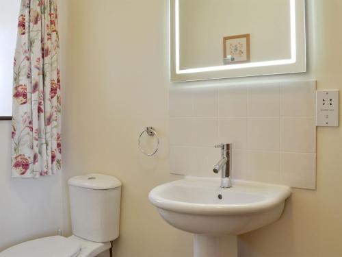 a bathroom with a toilet and a sink at Pear Tree Cottage in Gillamoor