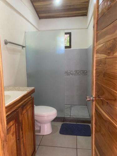 a bathroom with a shower and a toilet and a sink at Beautiful 2-bedroom home OR Studio Apartment OPTION in Santa Cruz in Santa Cruz