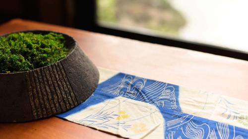 a pot of moss sitting on top of a table at UFU Kanazawa in Kanazawa