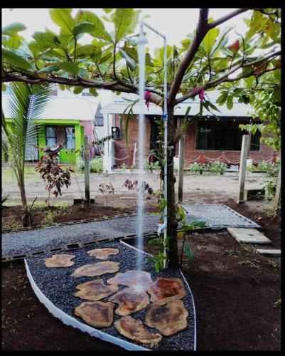 a water fountain in front of a tree at Micheck beach house in Tortuguero