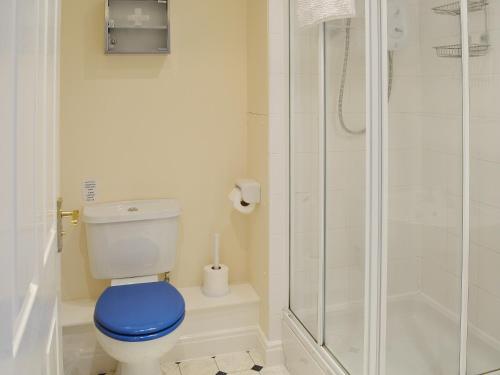 ウィットビーにあるPictureskのバスルーム(青いトイレ、シャワー付)