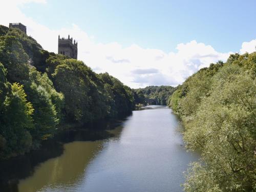 a river with trees and a castle in the background at Granary Cottage - E4350 in Stanhope