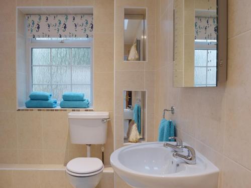 baño con aseo y lavabo y ventana en Ty Capel Seion, en Cardigan