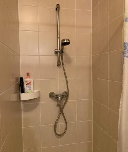 une douche avec pommeau de douche dans une salle de bain dans l'établissement Havre de paix - chambres dhotes, à Bellegarde-sur-Valserine
