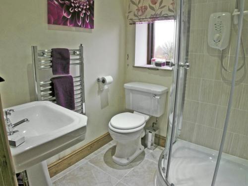 a bathroom with a toilet and a sink and a shower at Rundales Cottage in Appleby