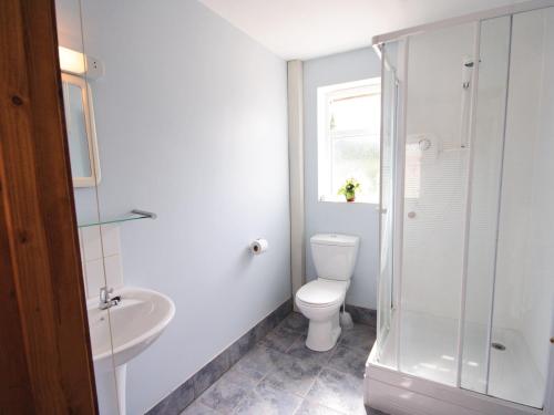 a bathroom with a toilet and a sink and a shower at The Conifers in Hevingham