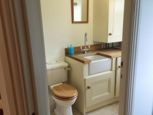 a small bathroom with a toilet and a sink at Bumble Cottage in Newton on the Moor