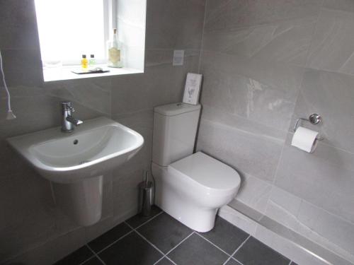 a bathroom with a toilet and a sink at Smittergill in Ousby