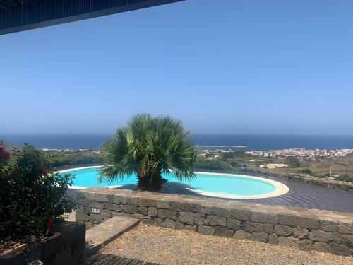 a swimming pool with a palm tree next to a wall at Mina' Alfarah in Pantelleria