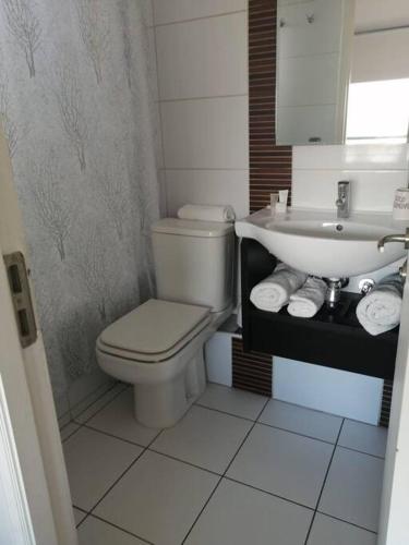 a bathroom with a toilet and a sink at Dpto Pedro de Valdivia, cercano a Costanera Center in Santiago
