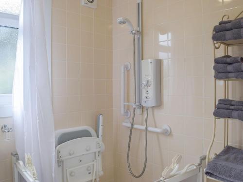 een badkamer met een douche, een toilet en een wastafel bij Arforwest in Llangranog