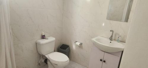 La salle de bains blanche est pourvue de toilettes et d'un lavabo. dans l'établissement mountain view apartment 2, à Roseau