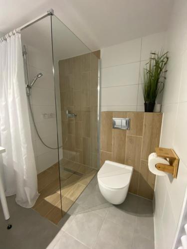 a bathroom with a toilet and a glass shower at 44 Śląska in Kamienna Góra
