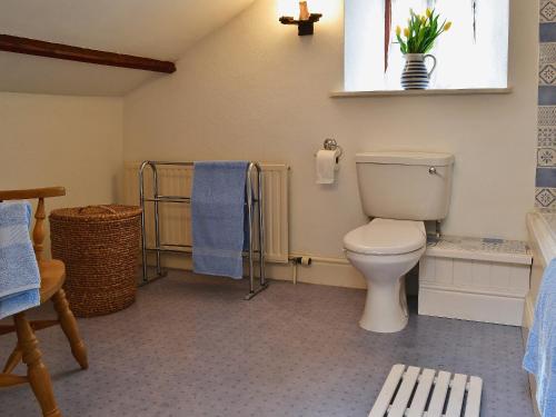 a bathroom with a toilet and a window at The Linhay in Trewen