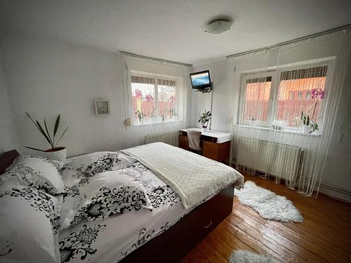 um quarto com uma cama, uma televisão e janelas em Ada-Ini House em Craiova