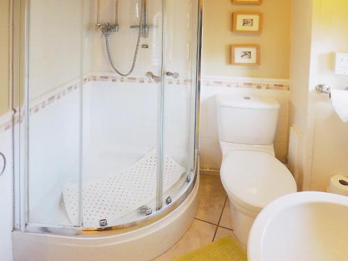 Dunvant的住宿－戴爾瑞鄉村別墅，带淋浴和卫生间的浴室
