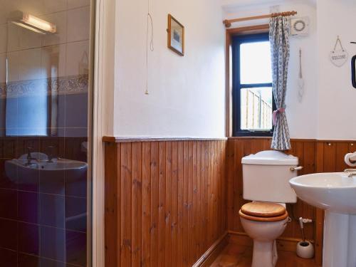 a bathroom with a toilet and a sink at Dan Y Faen in Devils Bridge