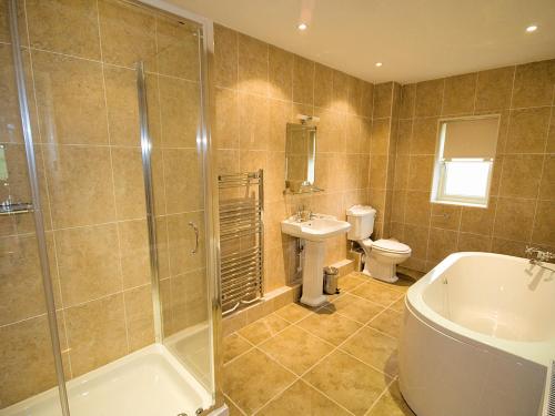 a bathroom with a shower and a toilet and a sink at Watermill Cottage in Hargrave