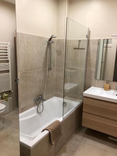 ein Badezimmer mit einer Dusche, einer Badewanne und einem Waschbecken in der Unterkunft Charmant et calme face gare centrale in Nizza