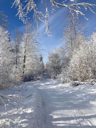 Chata na Zbojskej - Zbojská