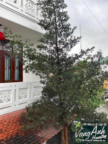 a tree in front of a white building at Vang Anh Homestay Hoi An in Hoi An