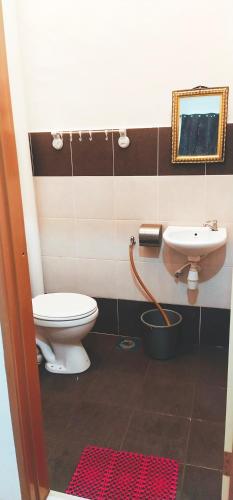 a bathroom with a toilet and a sink at Homestay De'69 in Jitra