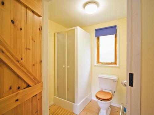 a bathroom with a toilet and a window at Briar Cottage - E5335 in Redisham