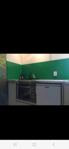 een keuken met een fornuis en een groene muur bij Grolloo in Grolloo