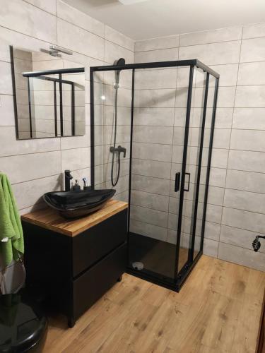 uma casa de banho com uma cabina de duche em vidro e um lavatório. em Hiška oddiha - Rest house em Sromlje