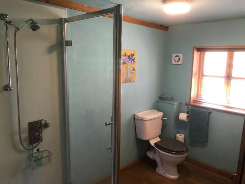 een badkamer met een toilet en een douche bij The Old Cow Shed in Thorndon