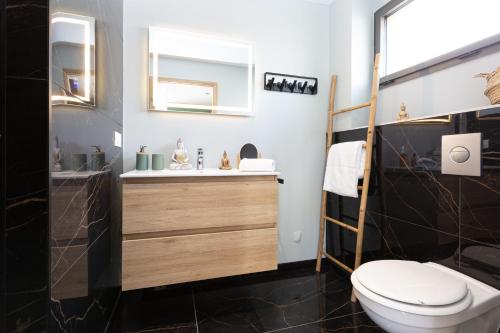łazienka z toaletą i umywalką w obiekcie Gites Spa Strasbourg - Villa Lion - SPA Privé, Sauna, Borne d'arcade, Babyfoot w mieście Ittenheim