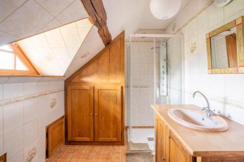 ein Bad mit einem Waschbecken und einer Dusche in der Unterkunft Crazy Villa Ricardière 89 - Indoor heated pool - Basket - 2h Paris - 30p in Charny