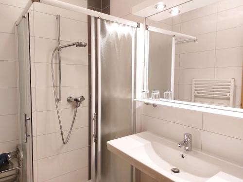 ein Bad mit einer Dusche, einem Waschbecken und einem Spiegel in der Unterkunft Landhaus Ferk in Bad Radkersburg